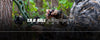 1_T.R.U. Ball® Archery Products